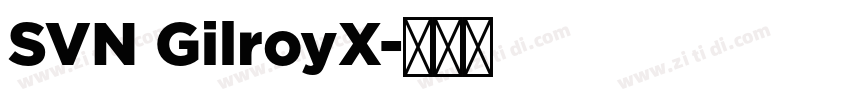 SVN GilroyX字体转换